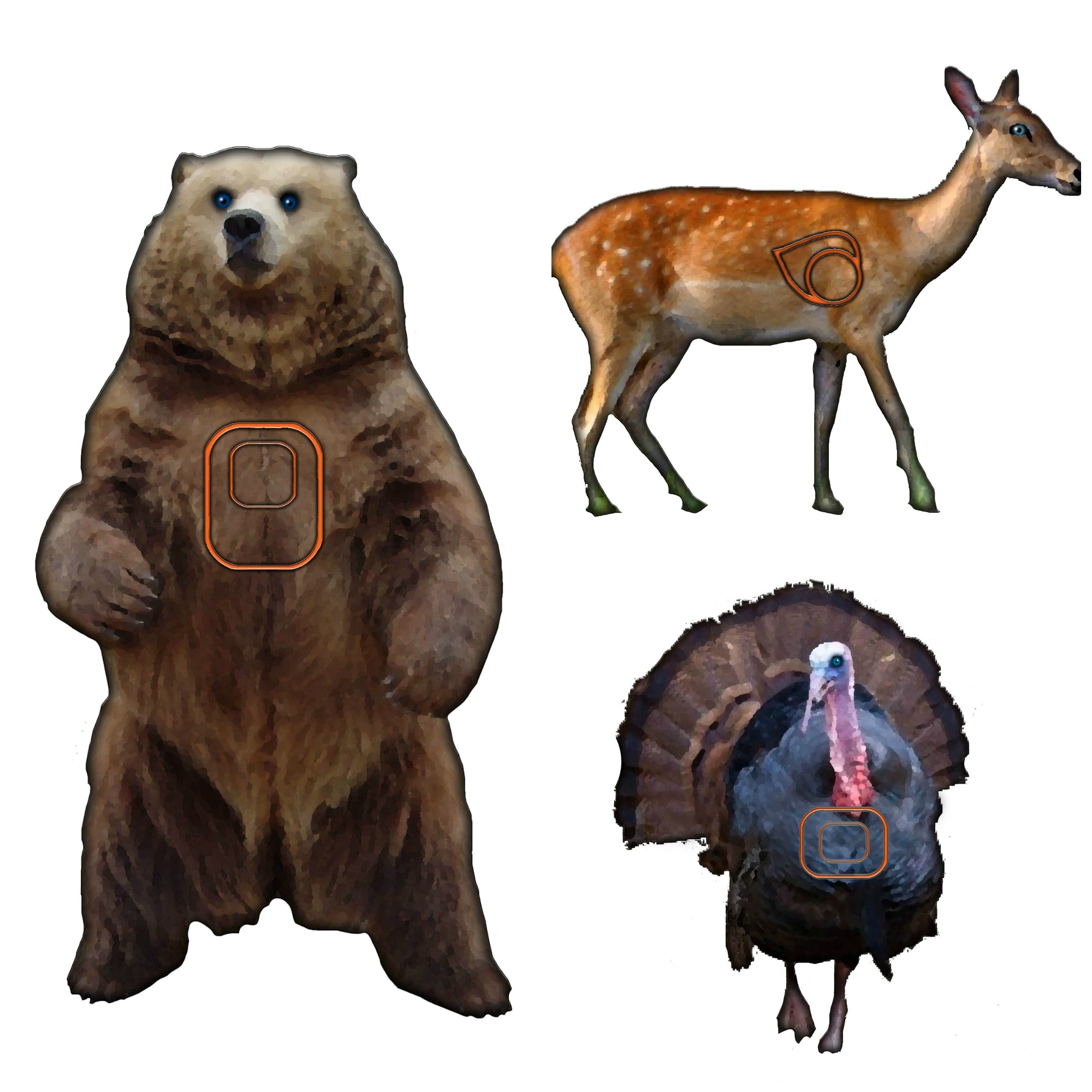 Printable Animal Targets Printable Blank World