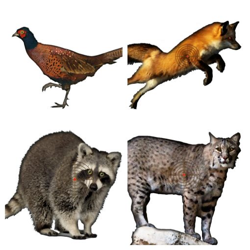 40 Pack Animal Normal and Large Size Printable Targets - Image 3
