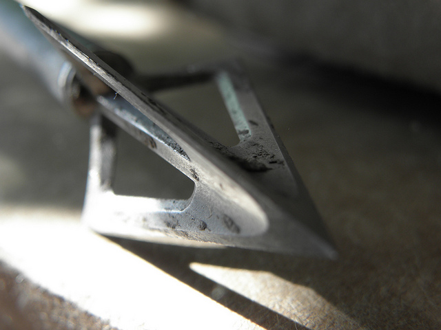 The 5 Best Broadheads: Fixed Blade