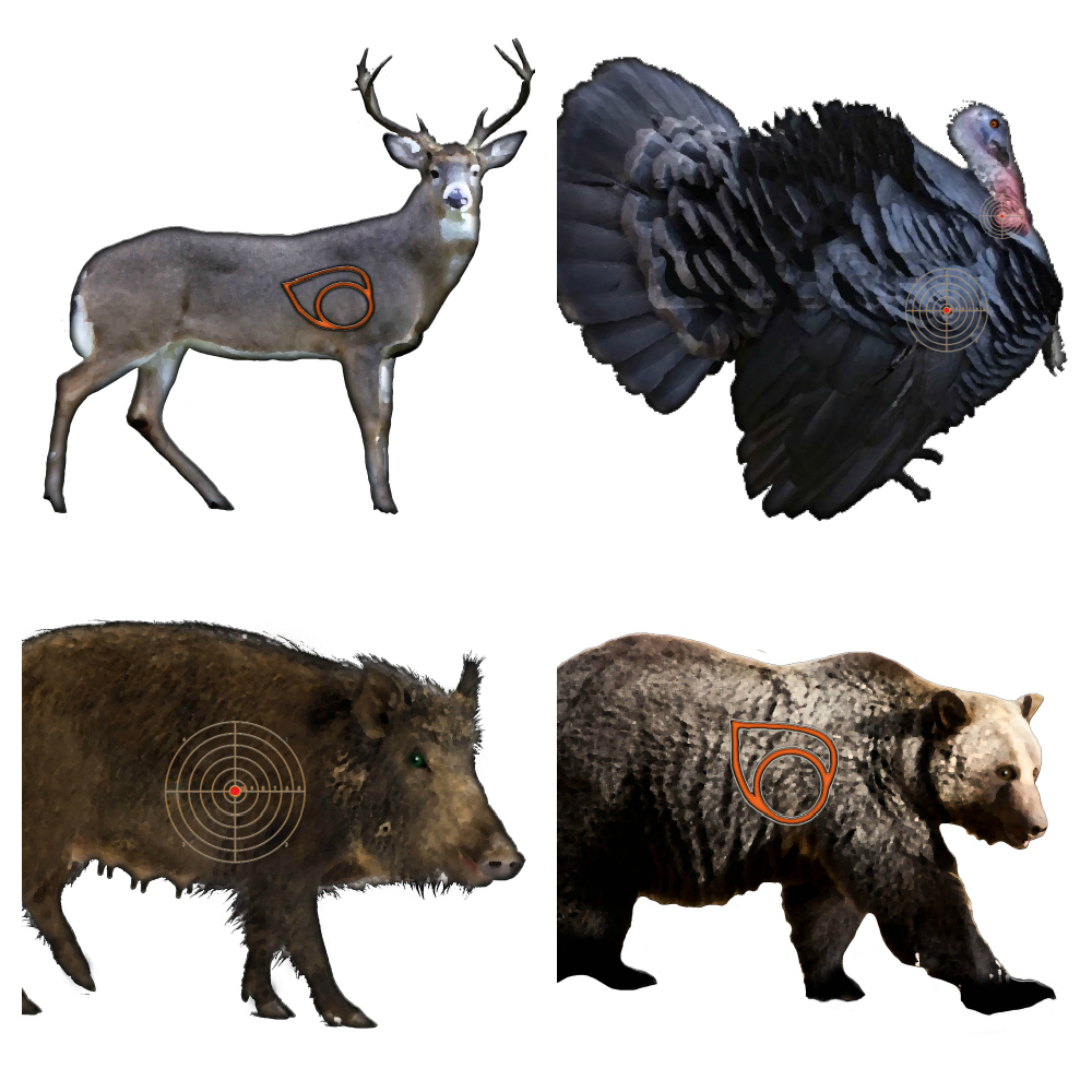 4 Best Images Of Printable Turkey Target Real Size Free Turkey Head 
