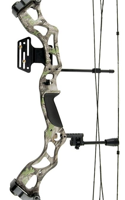 The Best Compound Bow 2017